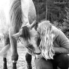 Anden særlig race Nørballes Beauty Areme SOLGT