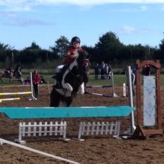 Anden særlig race Victor