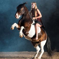 Anden særlig race Bettemus. RIP.