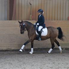 Anden særlig race Cassiopeia