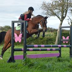 Anden særlig race Cassiopeia