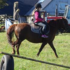 Anden særlig race Fiona