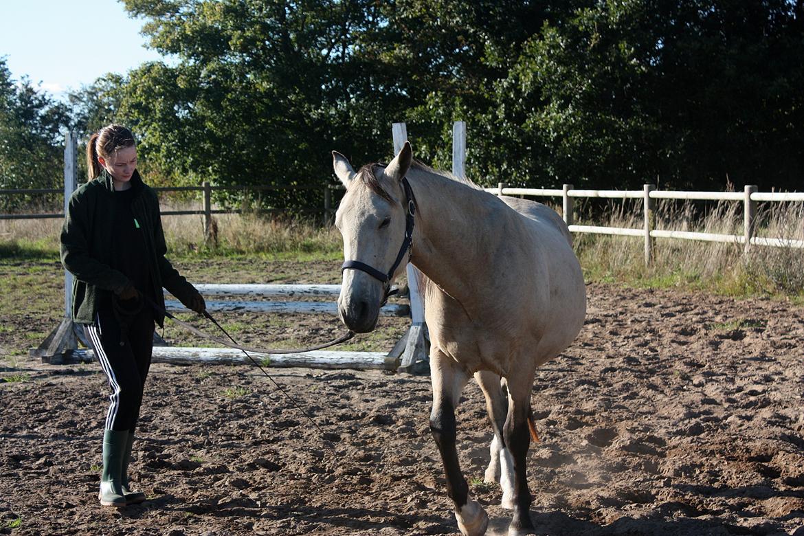 Anden særlig race | Sofus billede 16