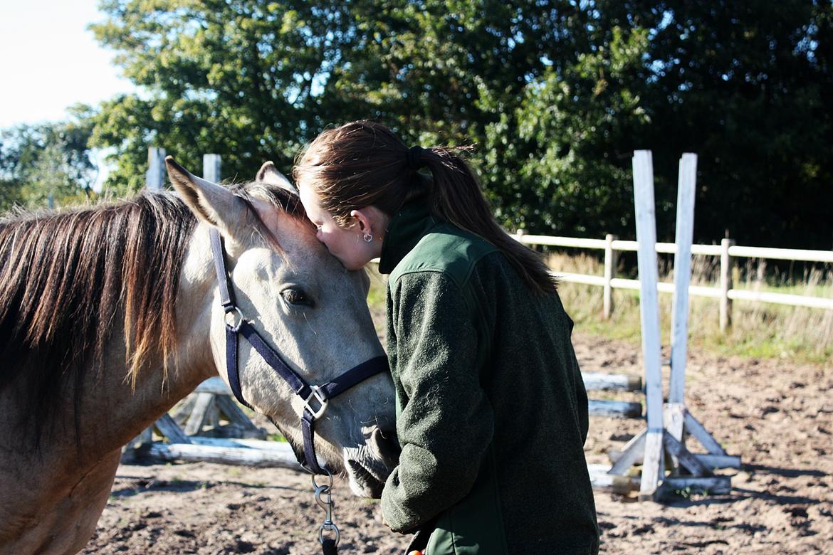 Anden særlig race | Sofus billede 21