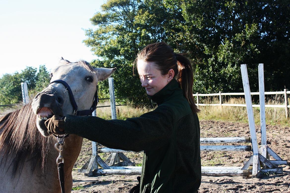 Anden særlig race | Sofus billede 31