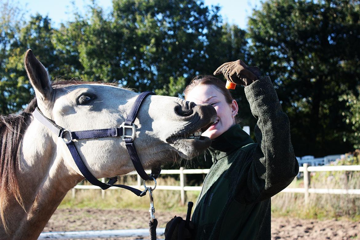 Anden særlig race | Sofus billede 26