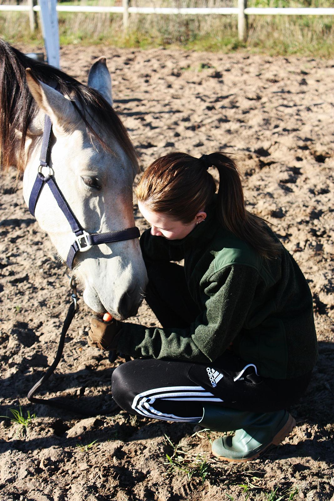 Anden særlig race | Sofus billede 24