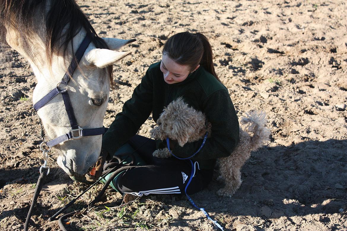 Anden særlig race | Sofus billede 10