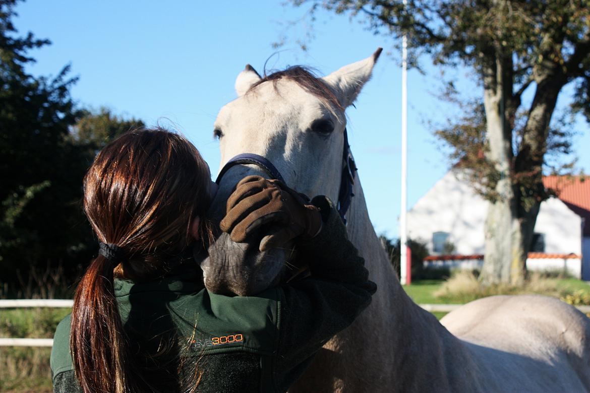 Anden særlig race | Sofus billede 7