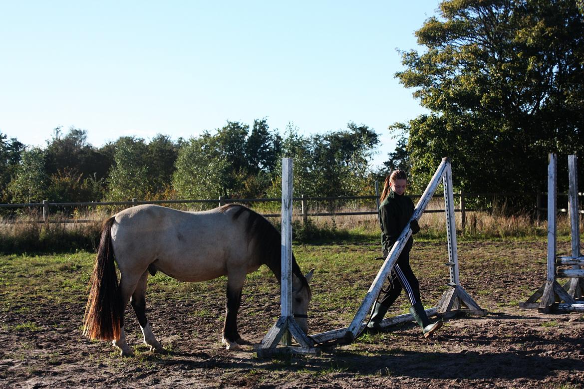 Anden særlig race | Sofus billede 32