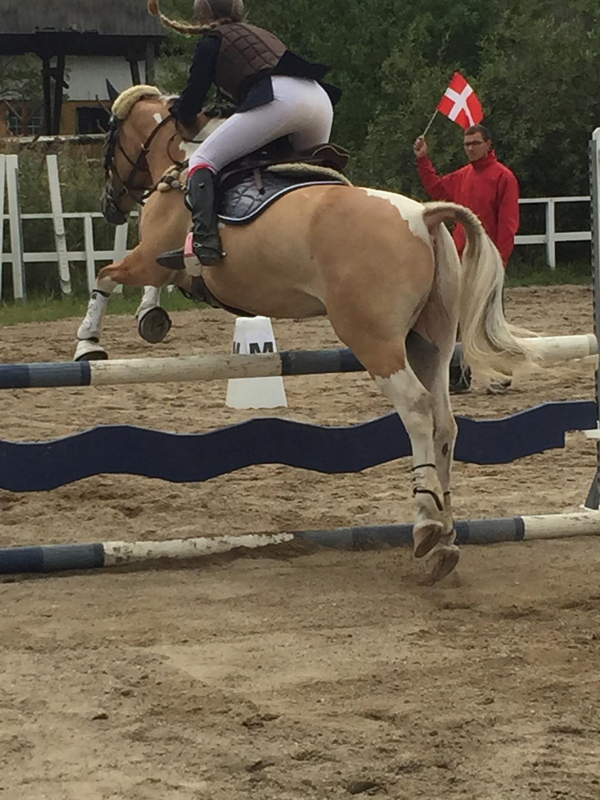 Hollandsk Sportspony Capello Ivo<3 (Min Pony) - Klubmesterskab på maarum 2015 billede 41