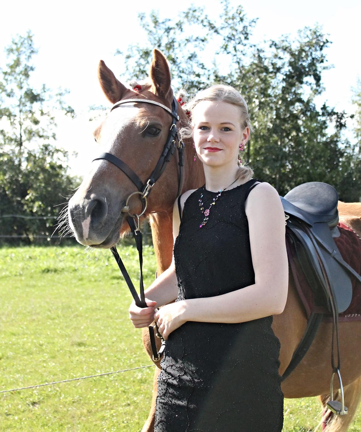 Haflinger Gipsy billede 2