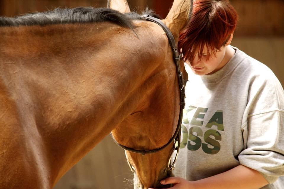 Anden særlig race Hestely's My Wish  billede 4