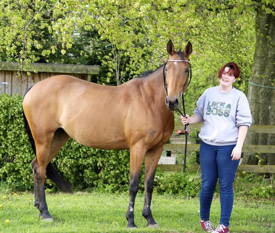 Anden særlig race Hestely's My Wish  billede 15