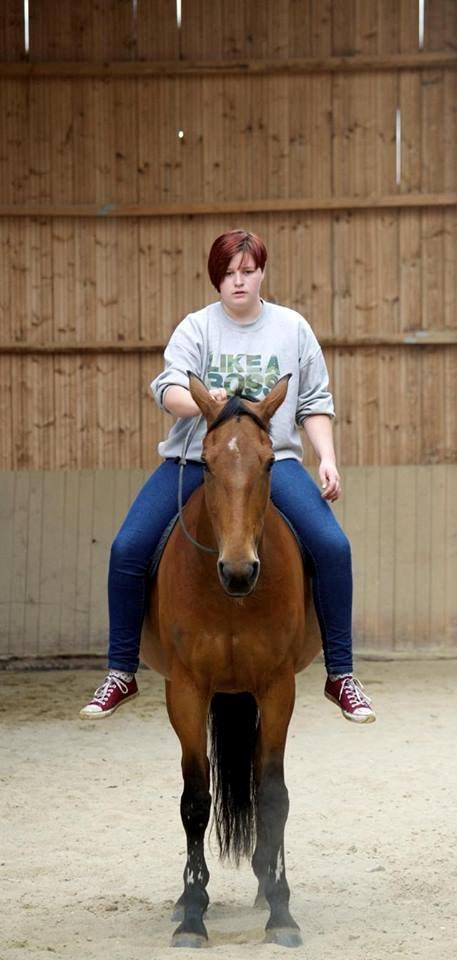 Anden særlig race Hestely's My Wish  billede 5