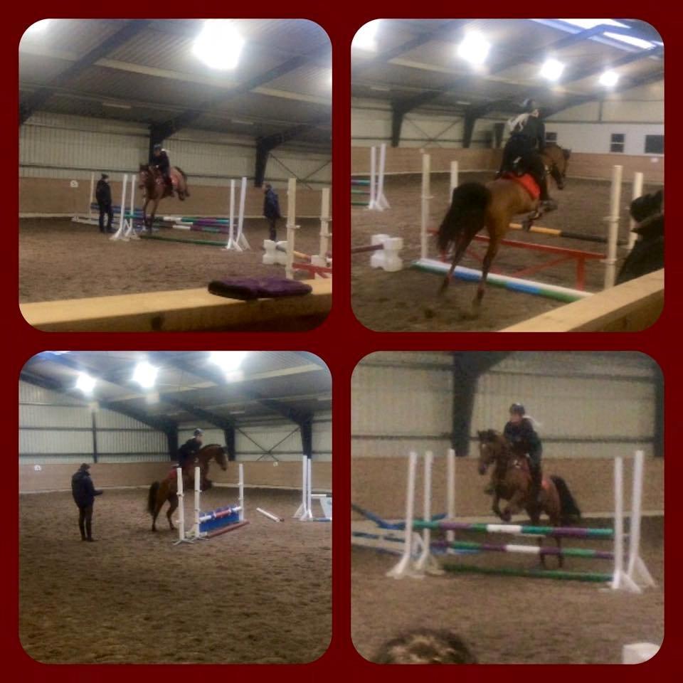 Arabisk fuldblod (OX) Anaya el karmdal oc ox billede 20