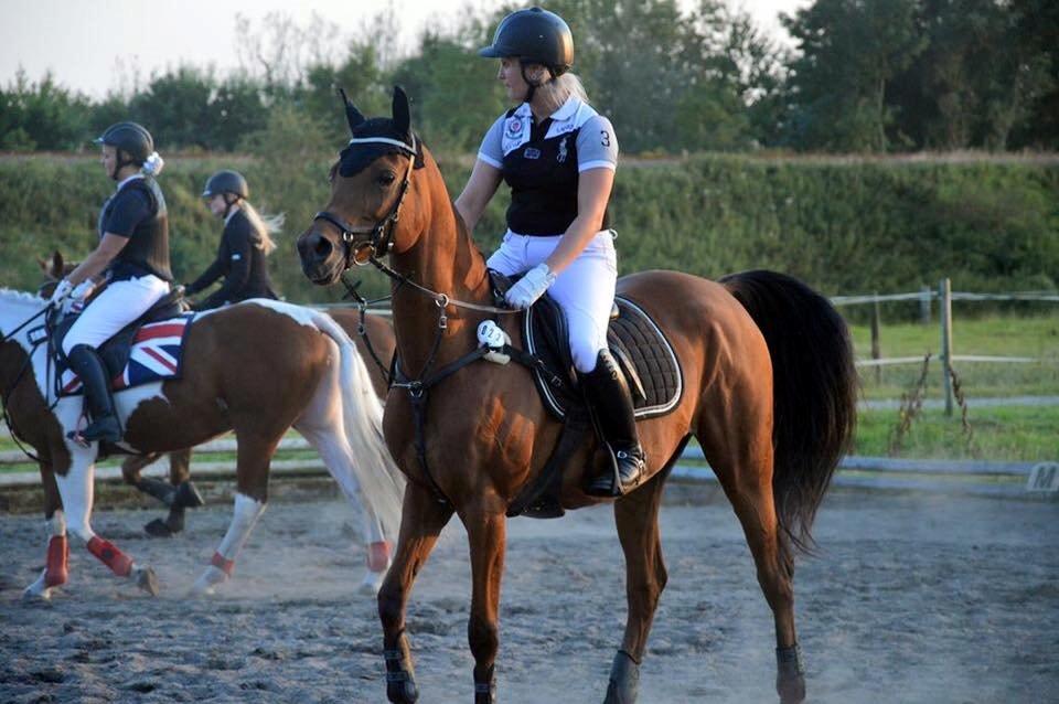 Arabisk fuldblod (OX) Anaya el karmdal oc ox billede 6