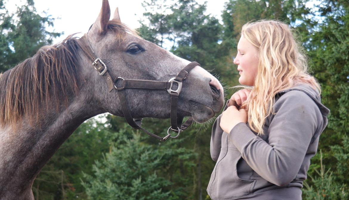 Anden særlig race Nørballes Beauty Areme SOLGT - i forsøg på at kysse :) billede 9