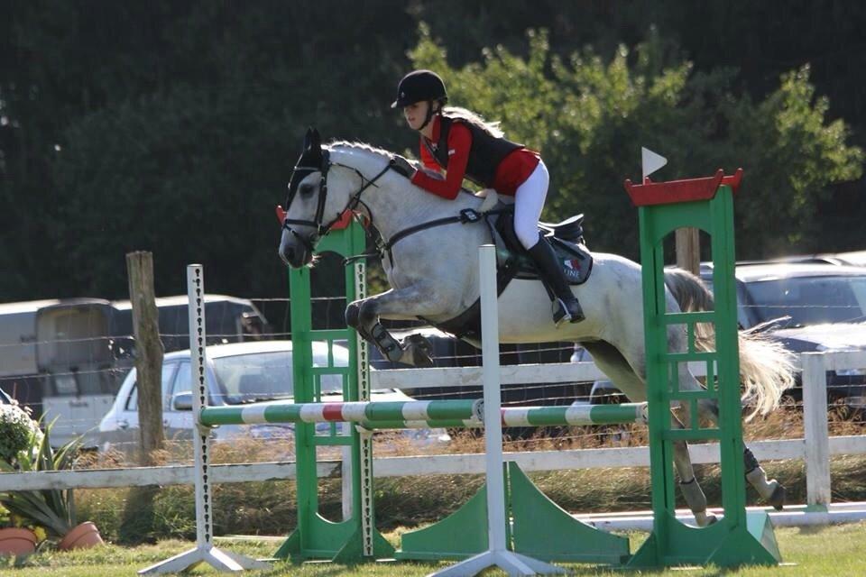 Anden særlig race Gipsy billede 14