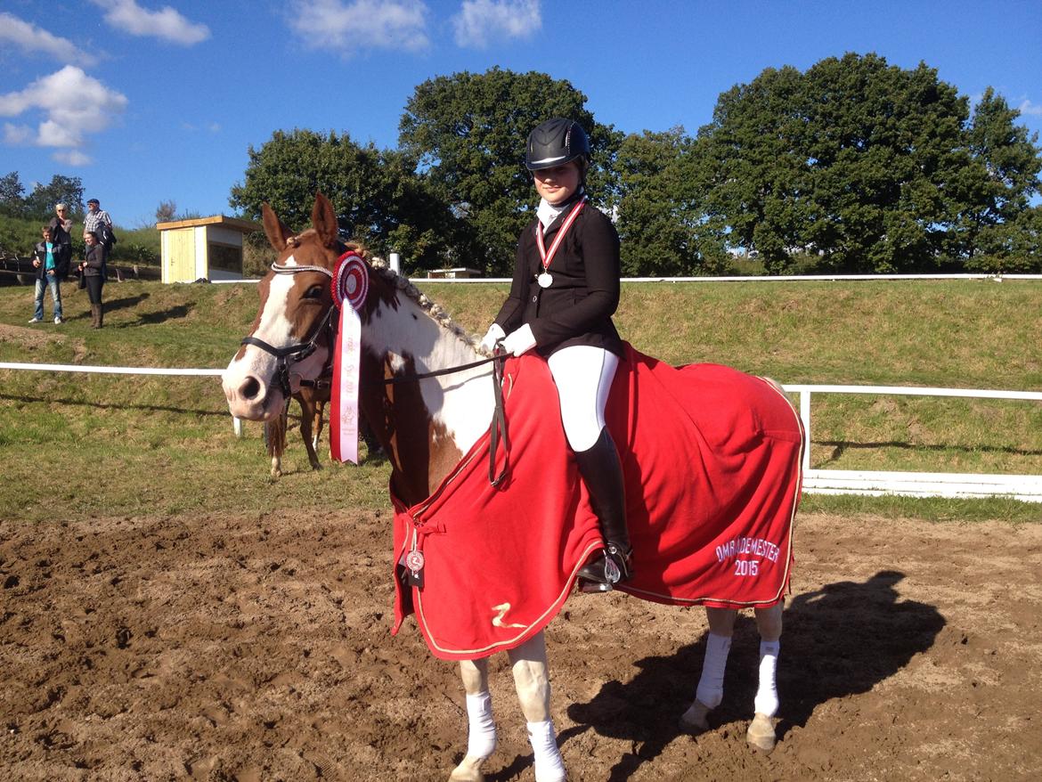 Anden særlig race Rugholms Bella  - Områdemesterskab 2015 billede 6