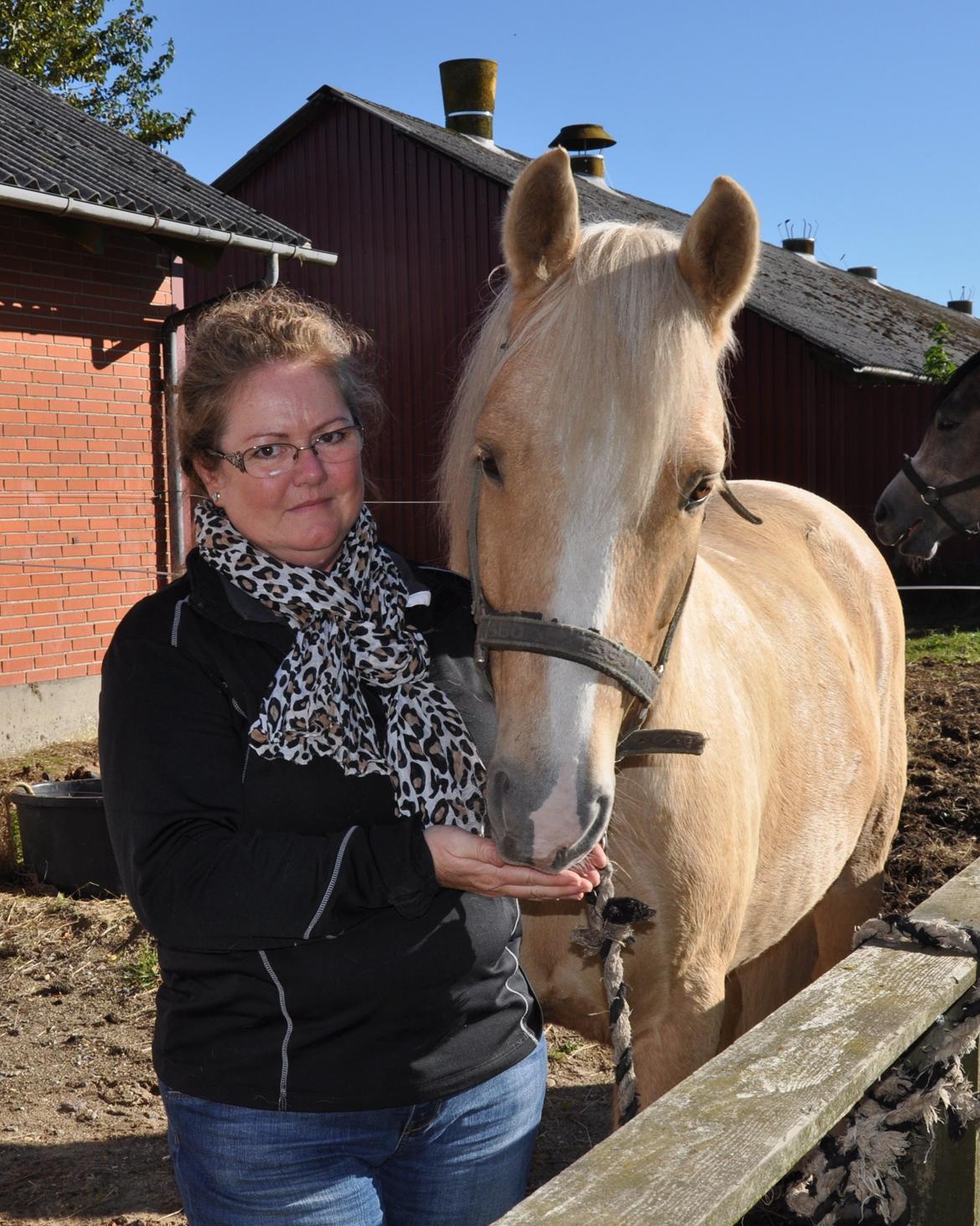 New Forest R.I.P. Remontes Copa Cabana - Det sidste farvel... billede 12