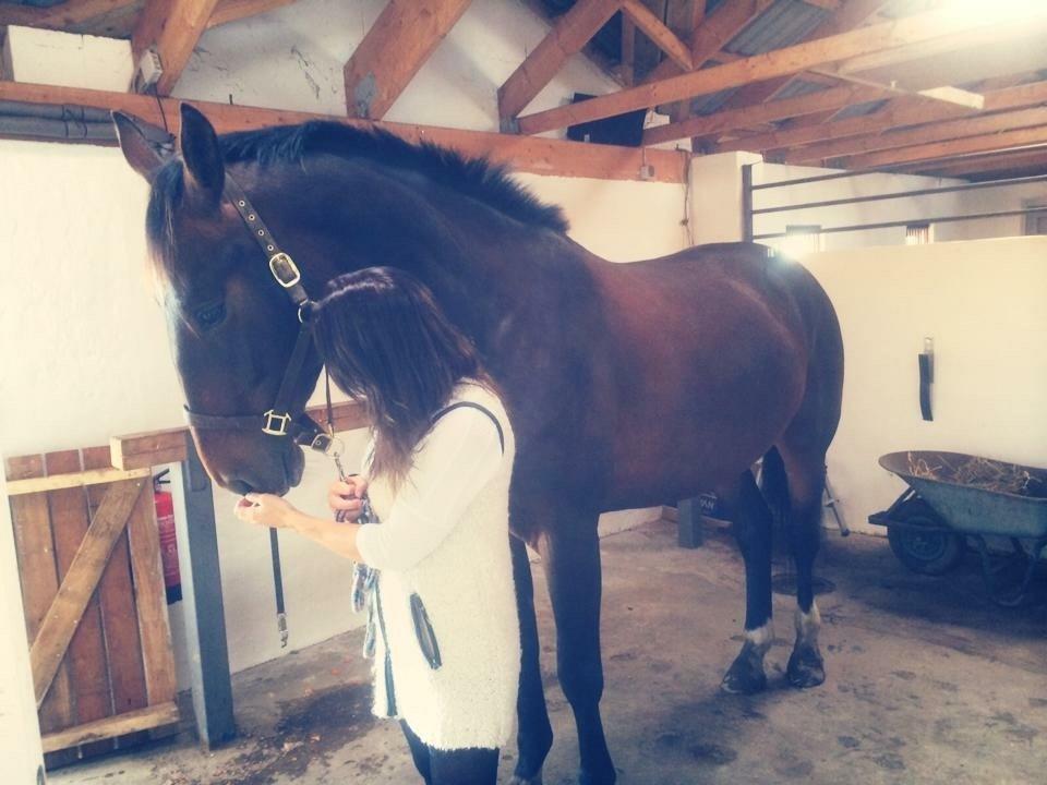 Anden særlig race Bøgedal's Tezza billede 6