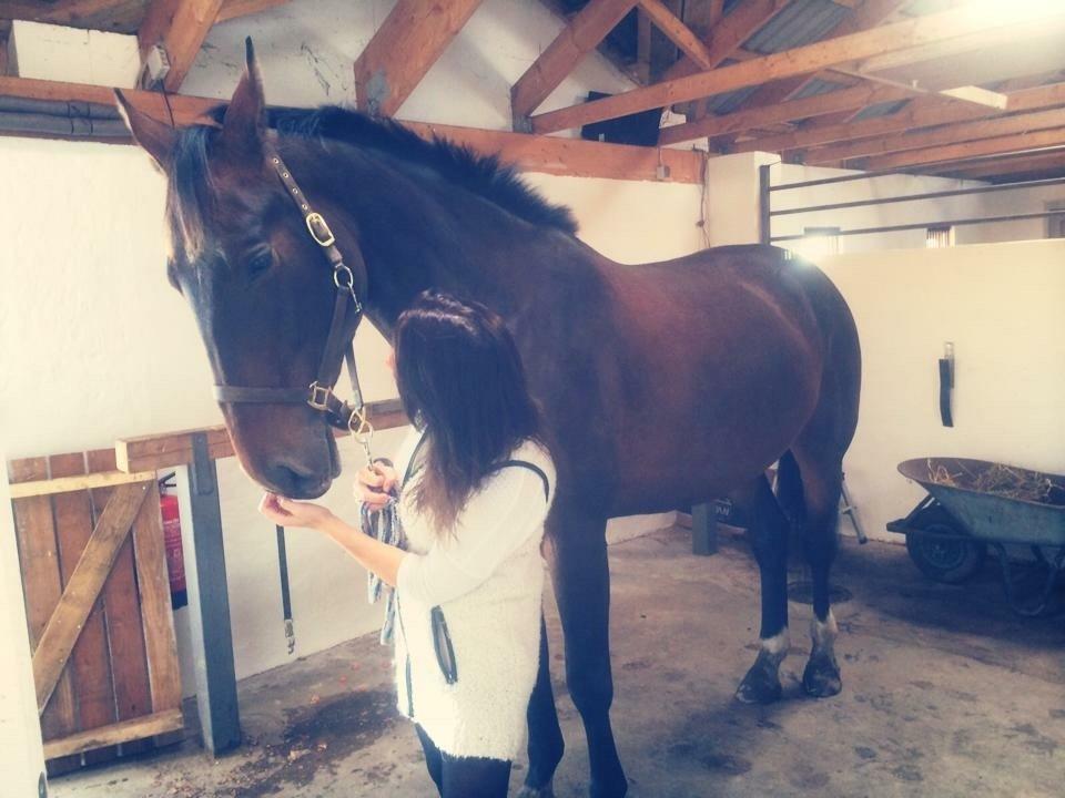 Anden særlig race Bøgedal's Tezza billede 7