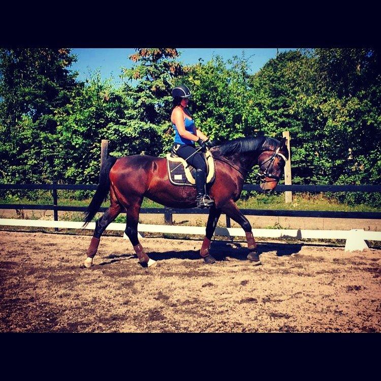 Anden særlig race Bøgedal's Tezza billede 8