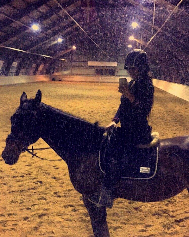 Anden særlig race Bøgedal's Tezza billede 12