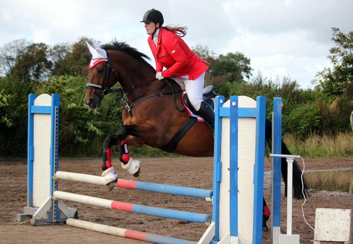 Anden særlig race Dalvangs Casper - Til stævne i Bryndumdam :) billede 40