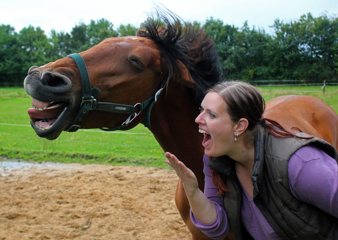 Dansk Varmblod Angel of music (SOLGT) *For evigt elsket <3* - NYT: Så trætte :D billede 12