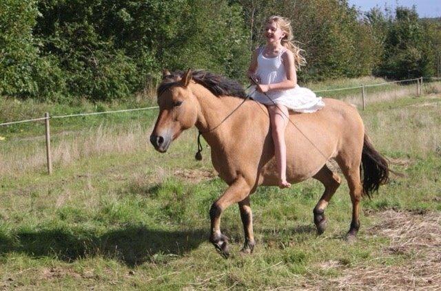 Anden særlig race Maude af mølleagergård billede 13