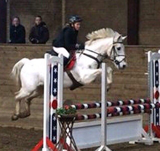 Connemara Moyspring billede 5