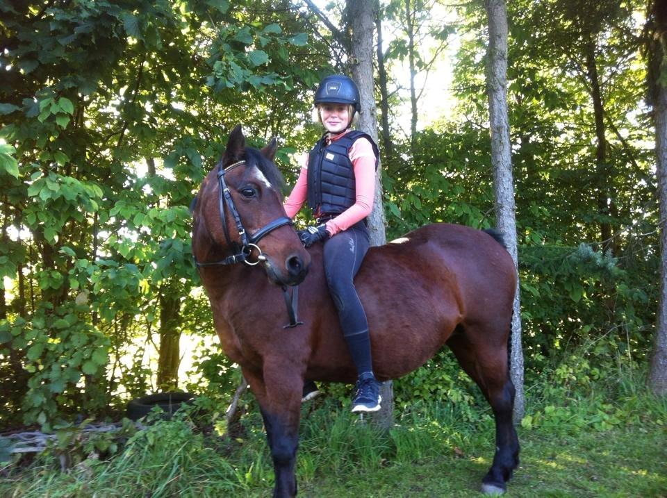 Anden særlig race Poppi - fotograf: Signe Engberg billede 2
