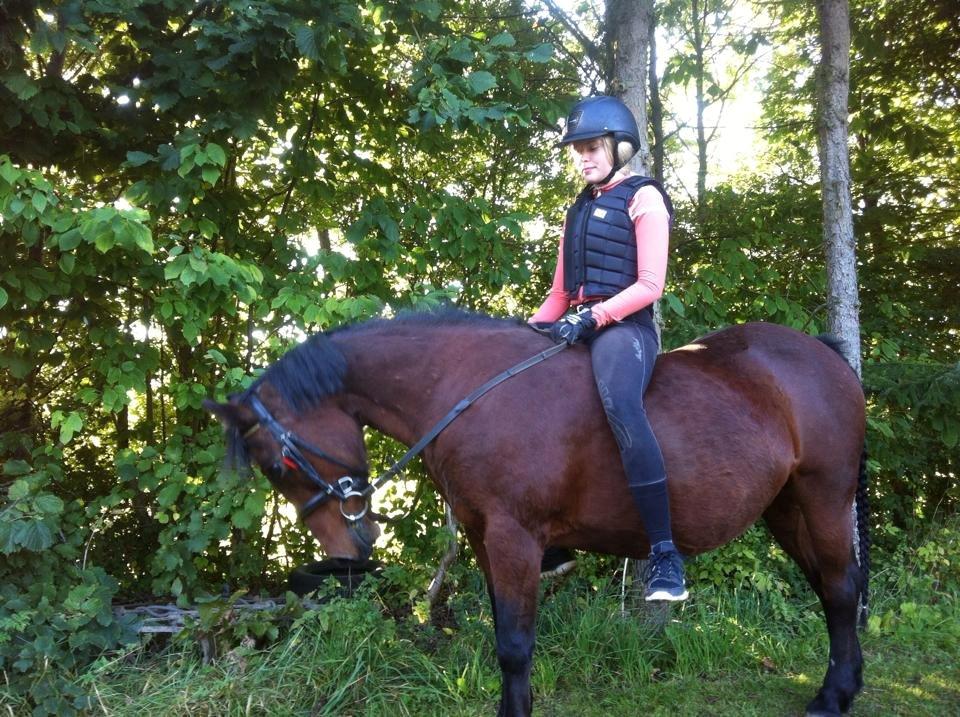 Anden særlig race Poppi - "se lige hvad jeg kan" -poppi fotograf: Signe Engberg billede 8