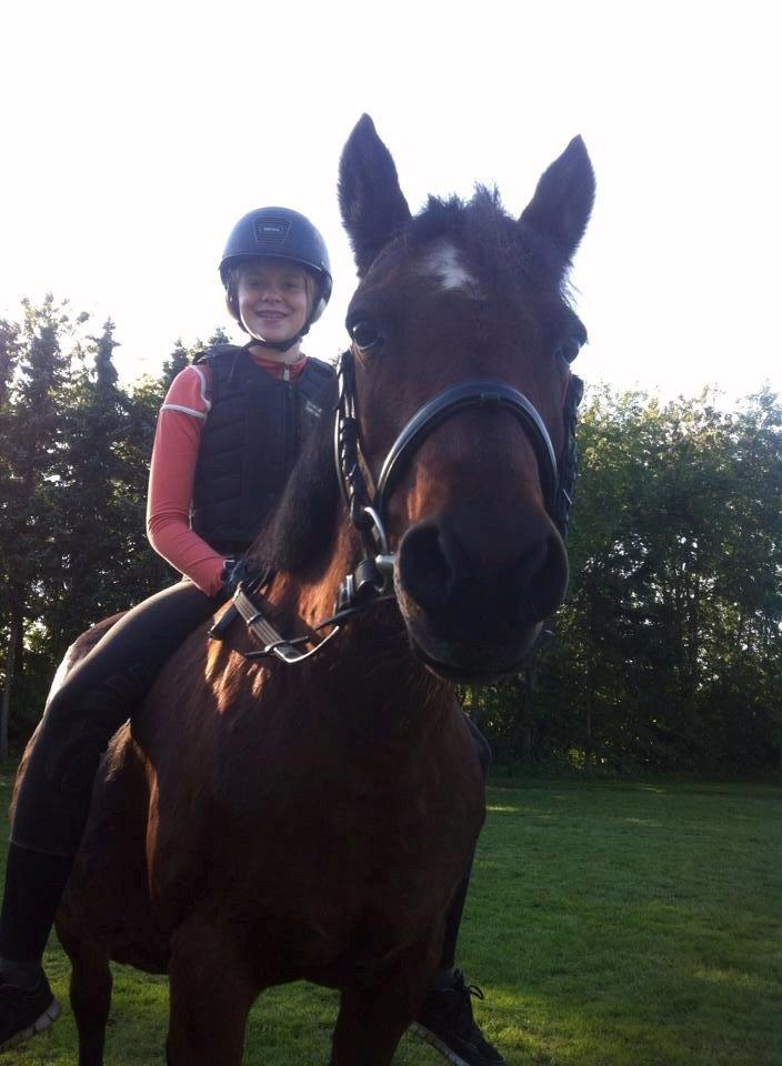 Anden særlig race Poppi - fotograf: Signe Engberg billede 19