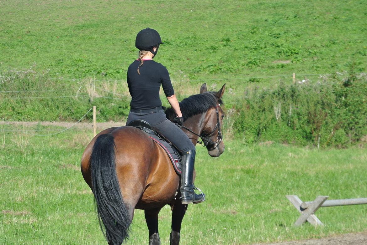 Anden særlig race Chantelle billede 3