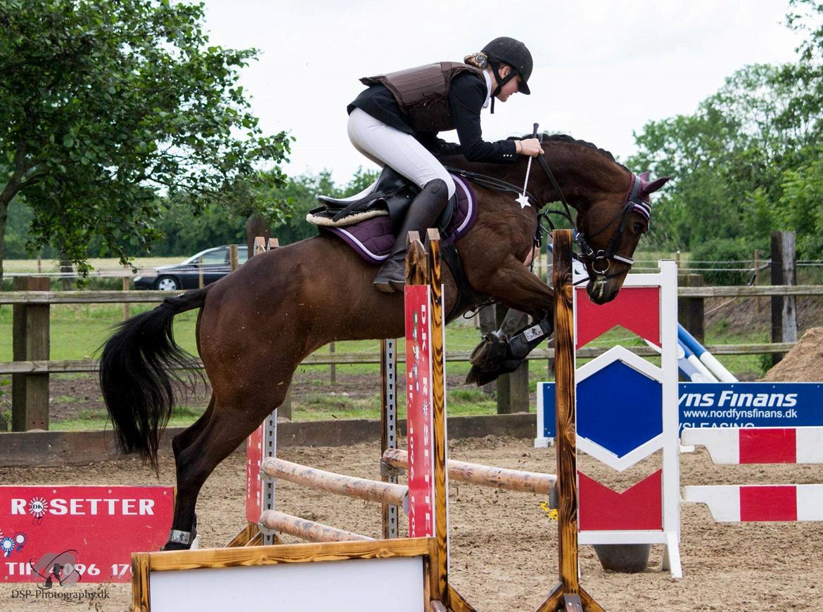 DSP Keegan's Duffy - Klubmesterskab 1. spring. Taget af: DSP Phtography - DK  billede 5