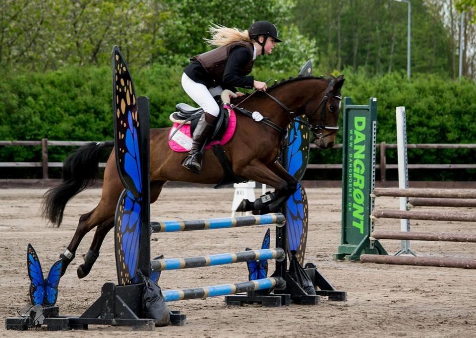 DSP Keegan's Duffy - GLAR. Taget af: DSP Phtography - DK  billede 18