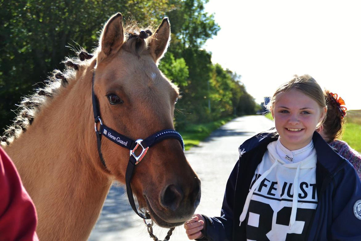 Anden særlig race Kasandra / Cazandra | - Første stævne med min trofaste makker <3, slut september 2015.  billede 3