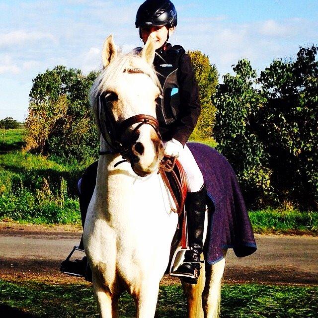 Palomino Bailey billede 1