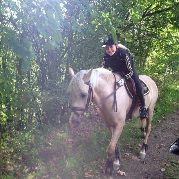 Palomino Bailey billede 3