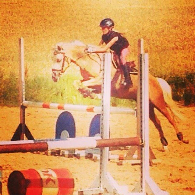 Palomino Bailey billede 5