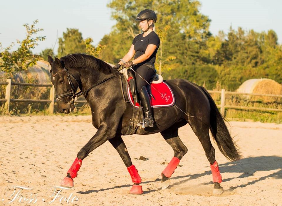 Oldenborg Flying Betty billede 1