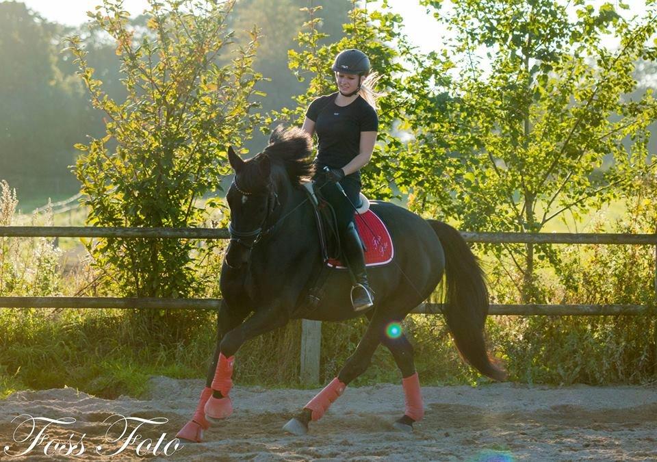 Oldenborg Flying Betty billede 5