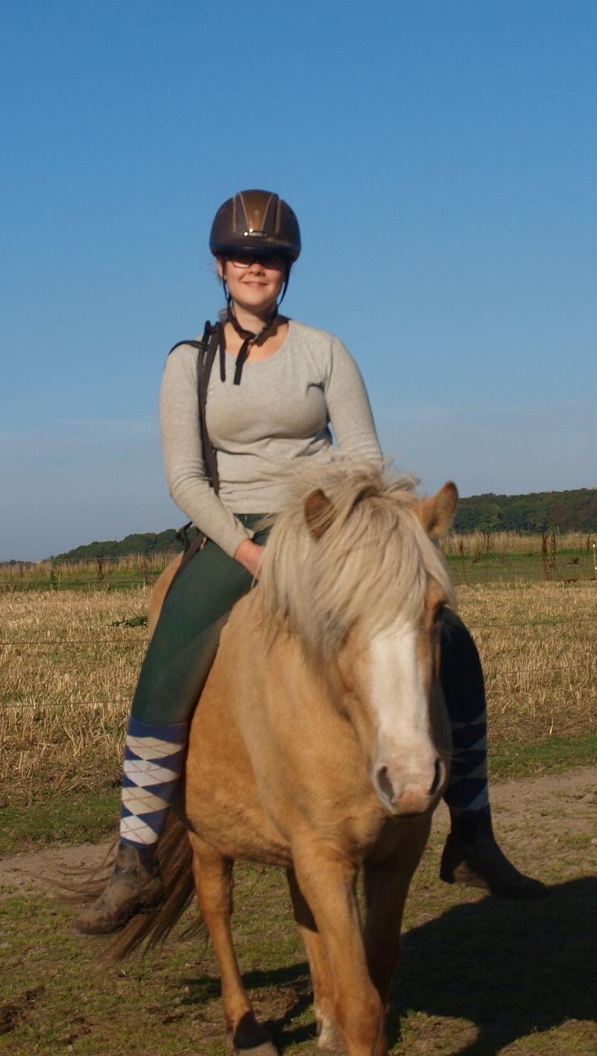 Islænder Bibbi billede 9