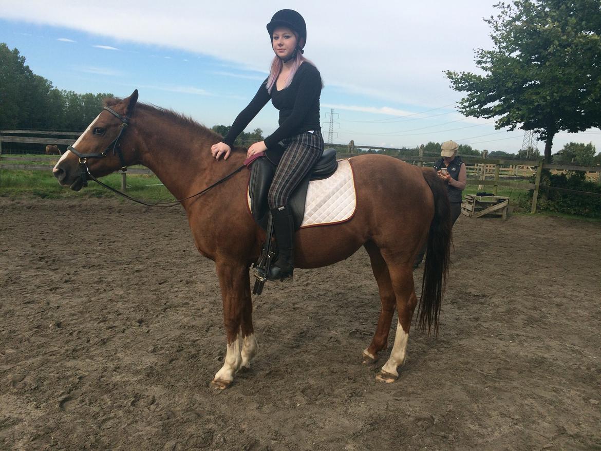 New Forest Oosterhoffs sec ond-hand rose RIP billede 13