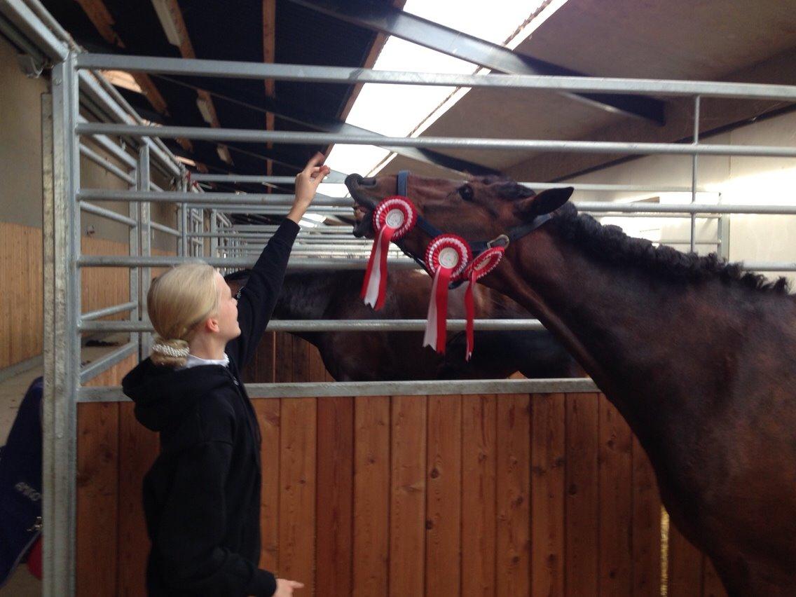 DSP Ellen - Dygtige ellen til klubmester<3 billede 12