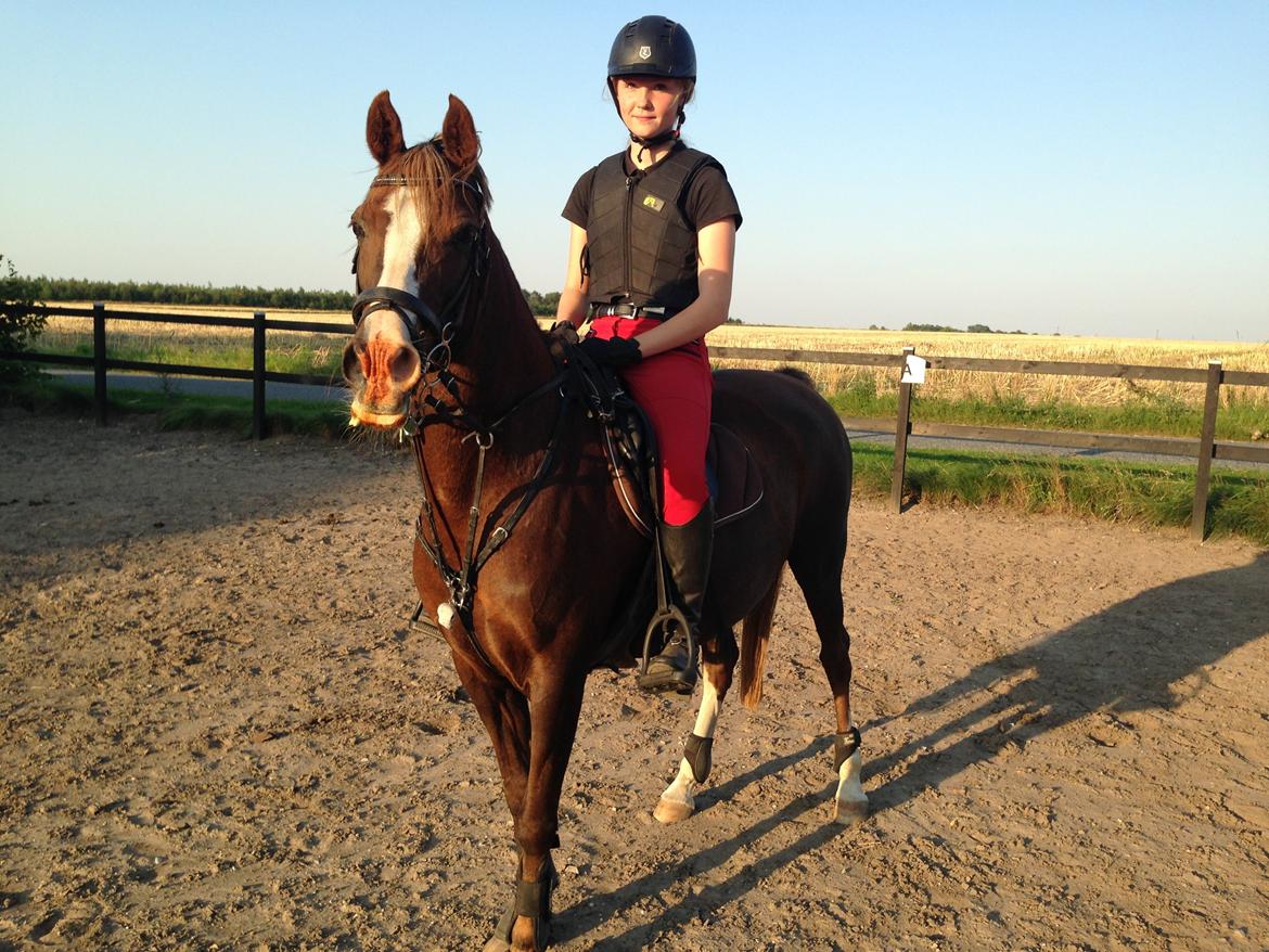 Anden særlig race Vestergårds La Foxy billede 45