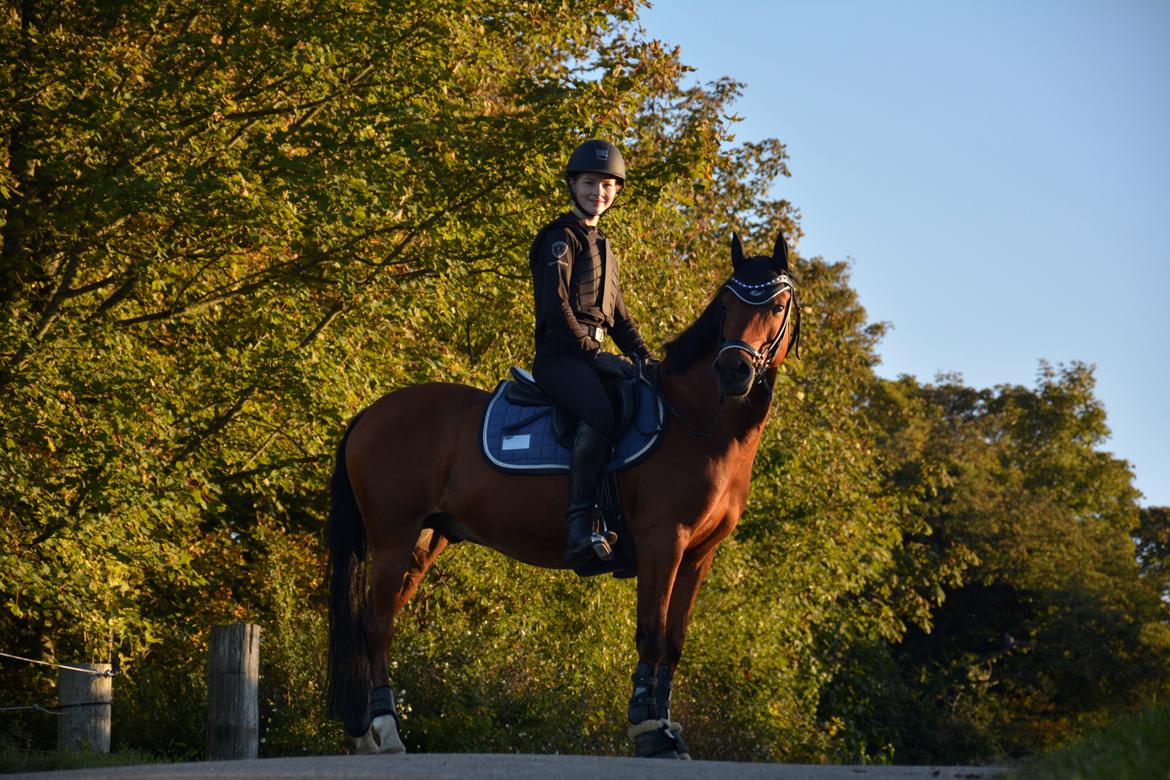 Anden særlig race Steven Seagal (Baby Drengen) - 2 år :O billede 15